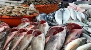 قائمة الأسعار الجديدة.. تذبذب ملحوظ في سوق العبور تزامناً مع تعاملات الجمعة